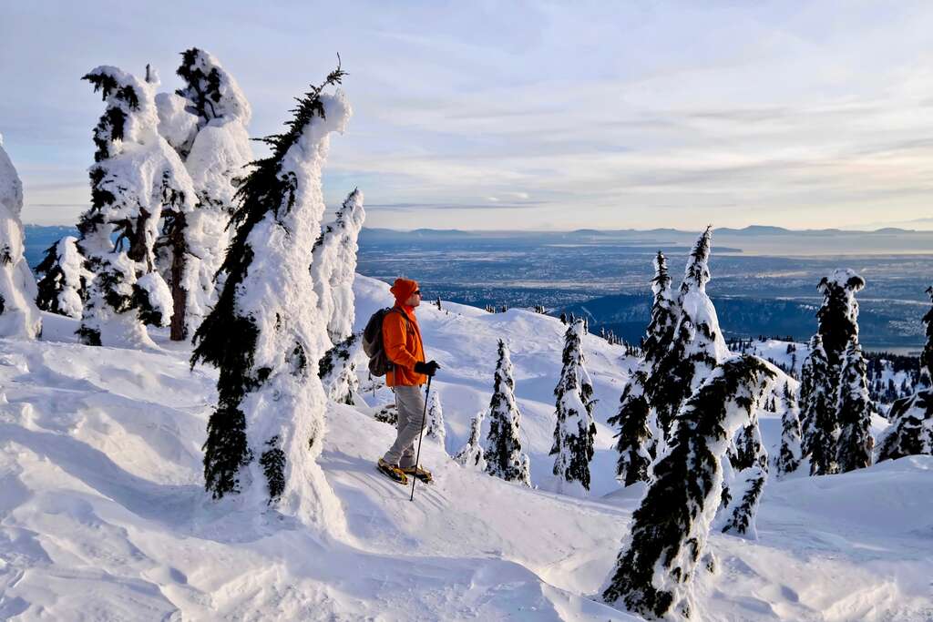 Grouse Mountain