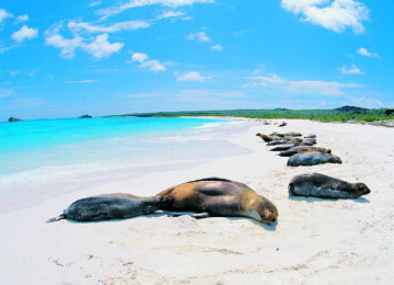 Terres Incas et îles des Galapagos