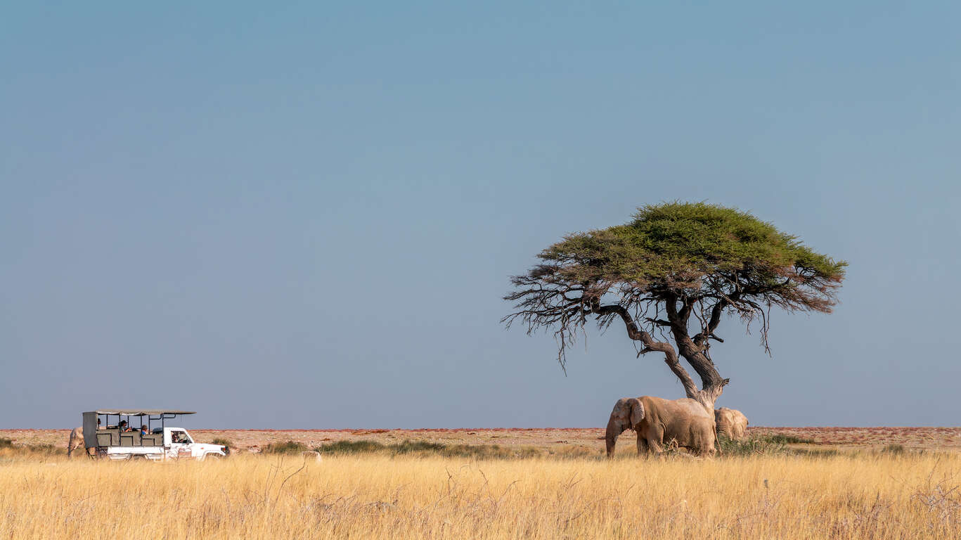 La Namibie avec guide privé