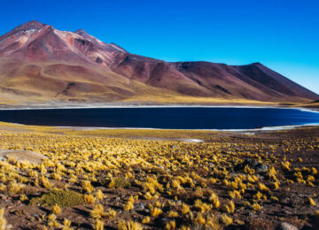 Circuit privé Chili : du désert d’Atacama a la Patagonie