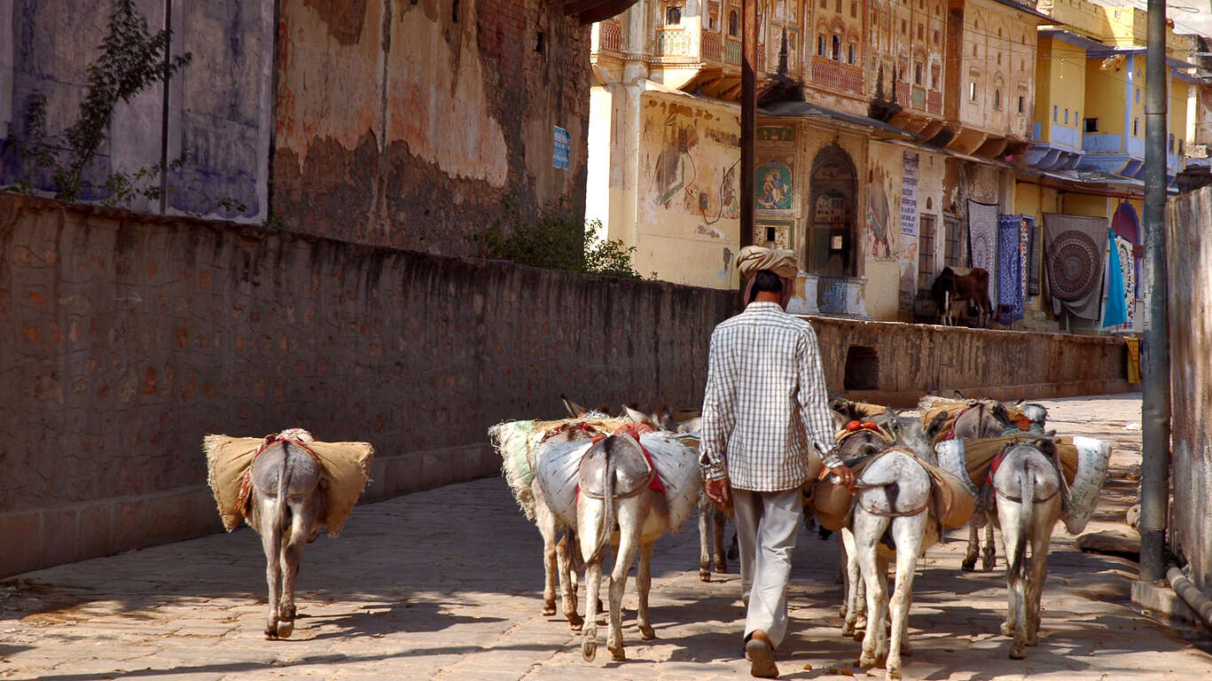 Immersion au Rajasthan