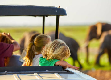 Safari familial au Botswana et Chutes Victoria