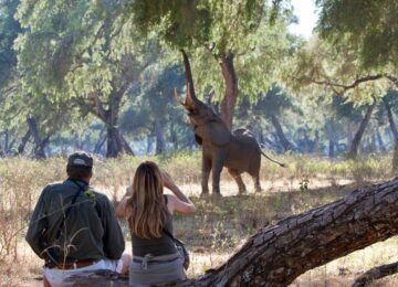 Safaris premium en avion taxis à Mana Pools, Matusadona, Hwange