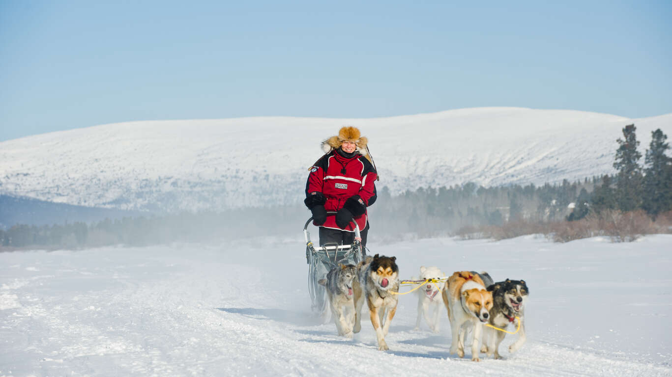 Voyage hiver au Canada motoneige et chien de traineau