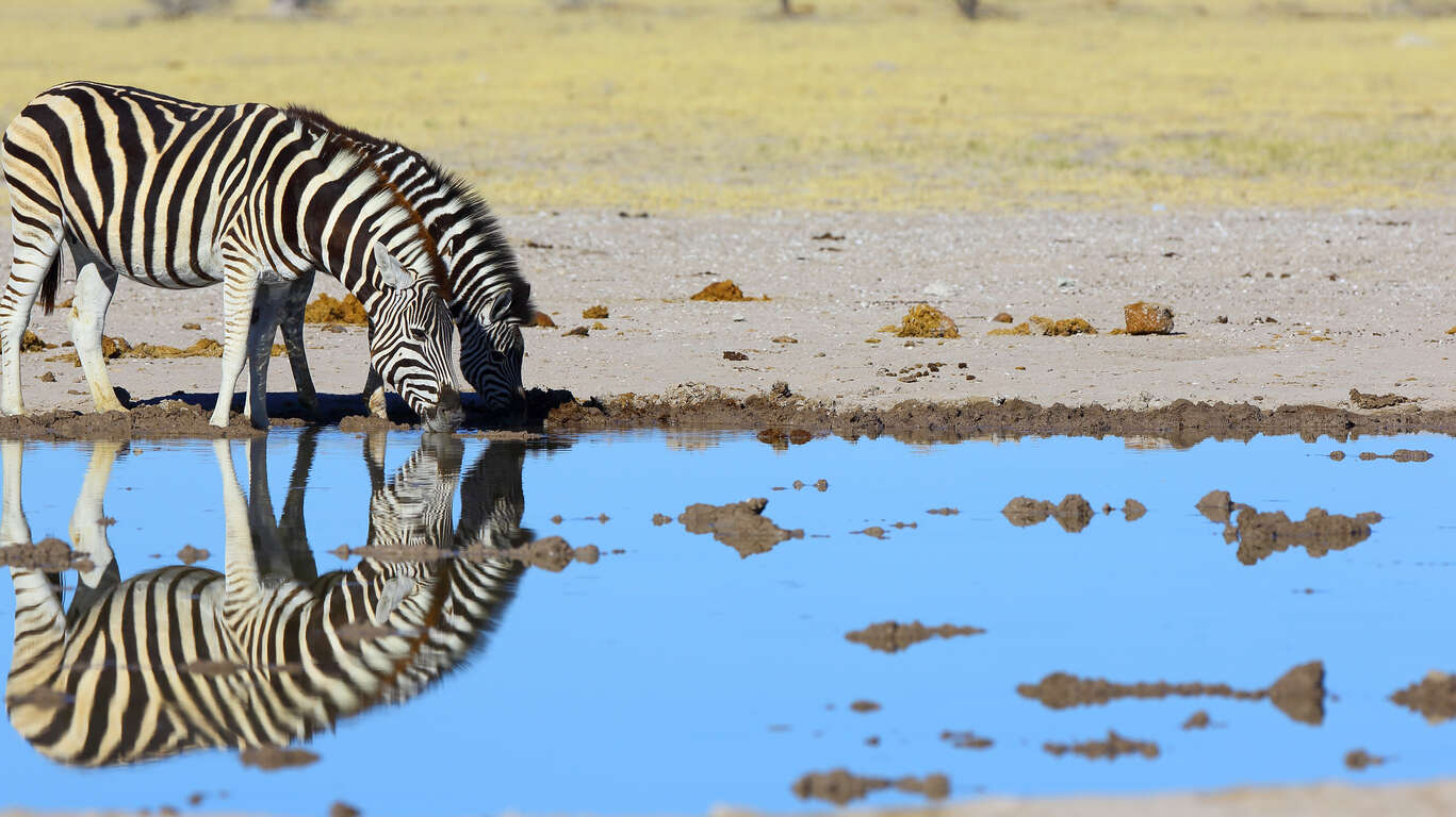 Delta et Désert : de l’Okavango aux Makgadikgadi pans