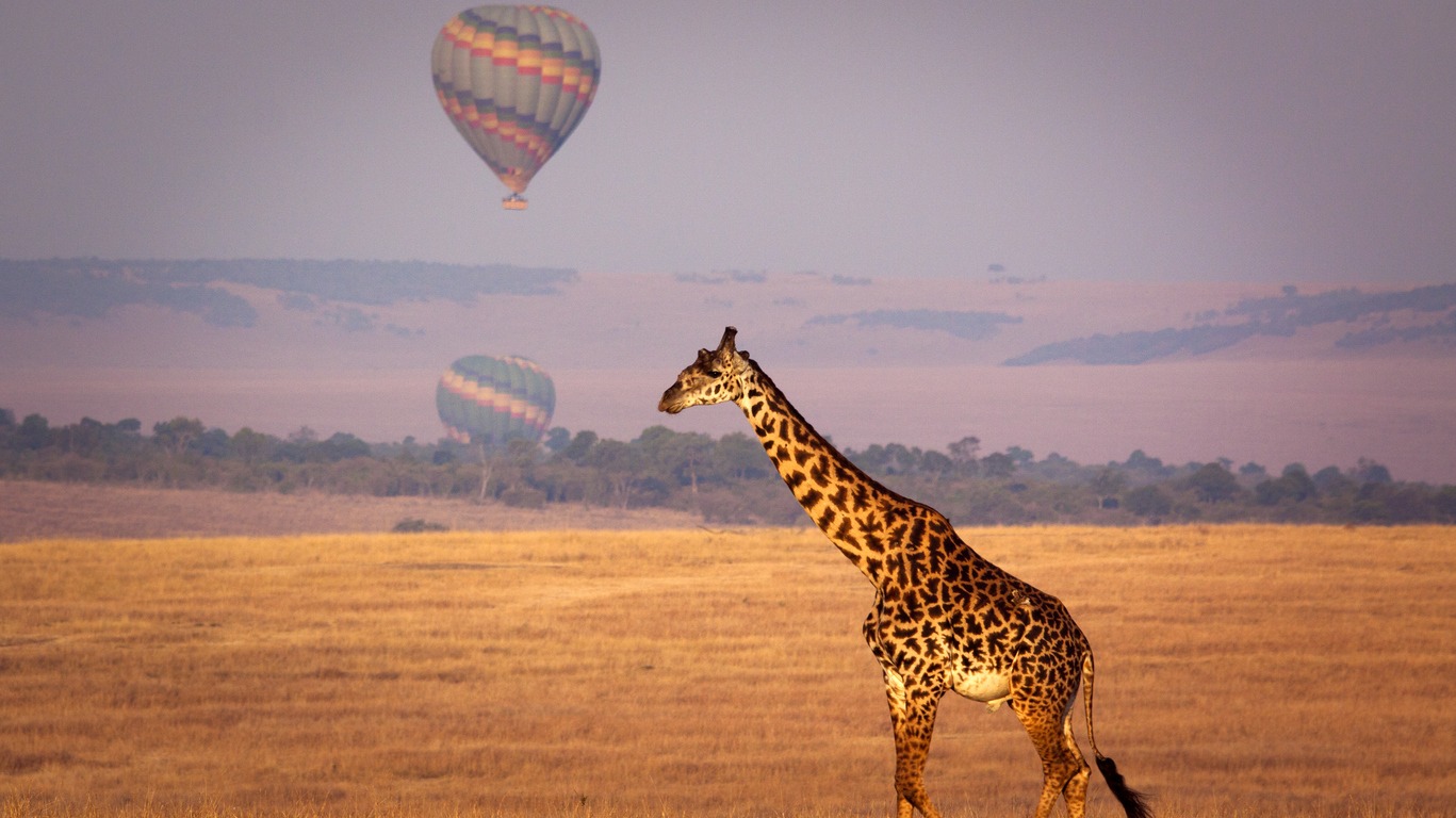 Safari en avion privé en Tanzanie