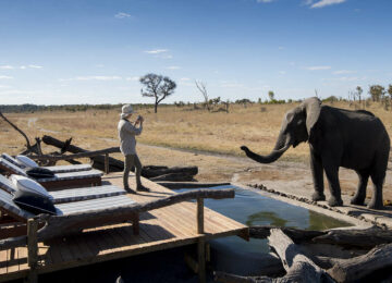 Voyage au Zimbabwe : Chutes Victoria & Safaris à Hwange et Mana Pools