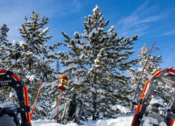 La magie de l’hiver à Yellowstone