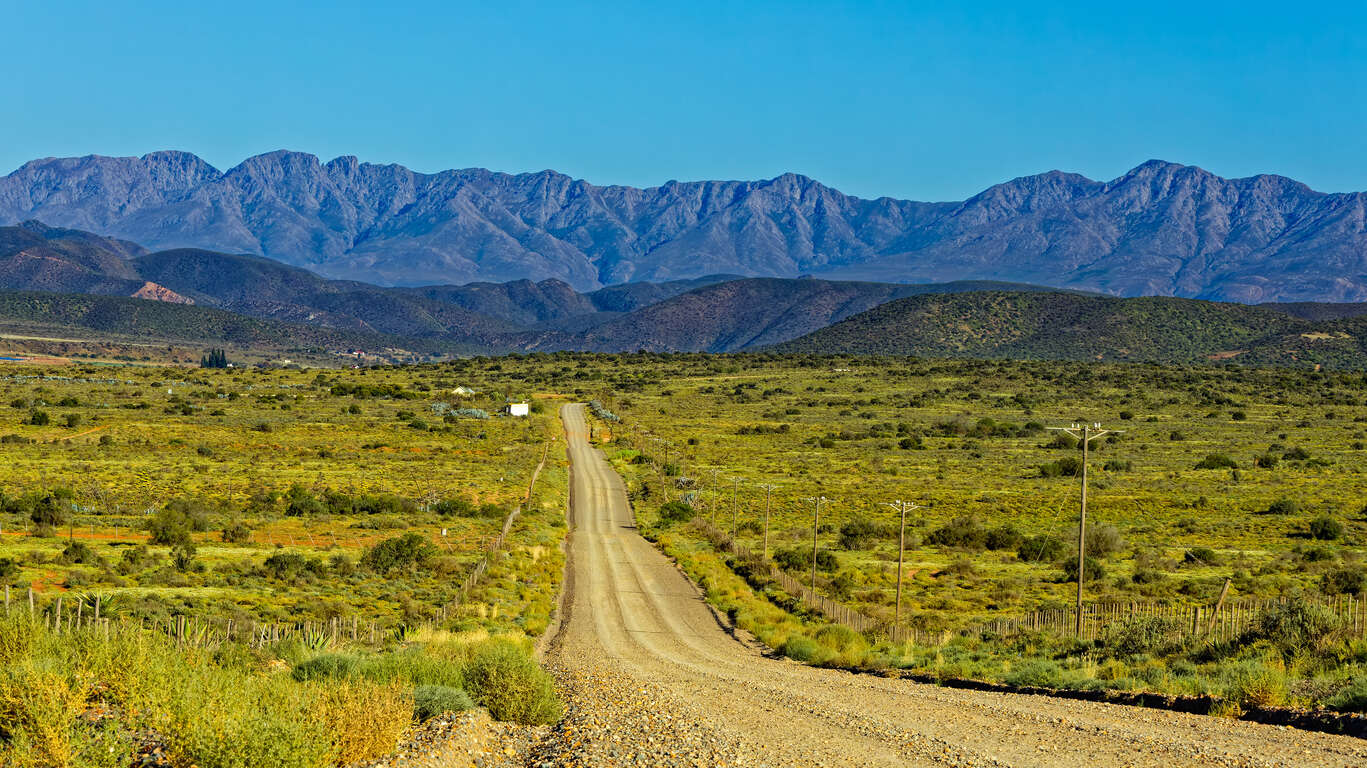 Cape Explorer : Safaris loin des foules