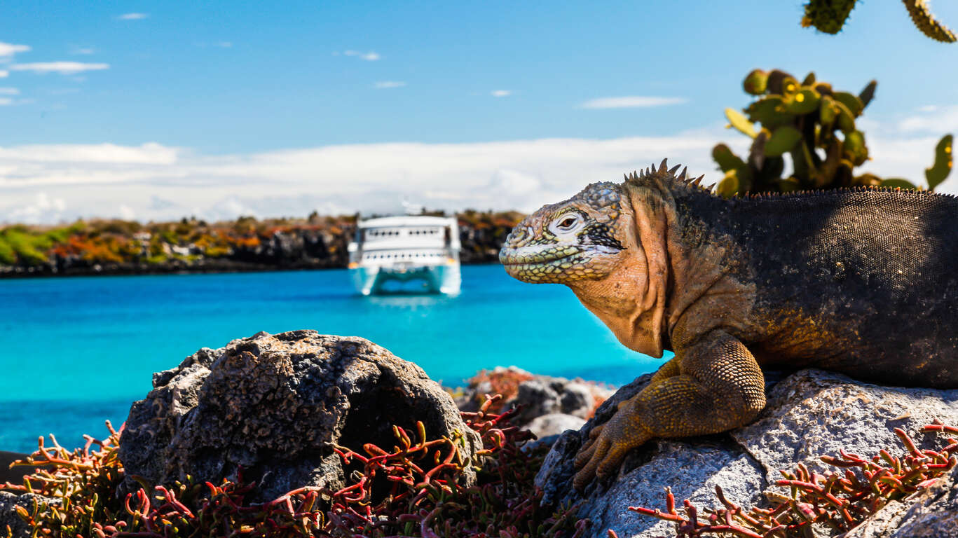 Découverte de l’Équateur authentique et croisière dans les Galapagos