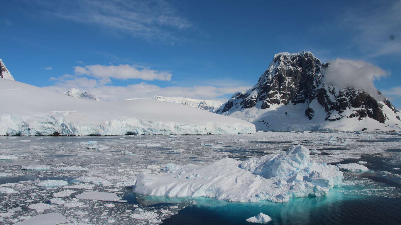 À la découverte du continent Blanc