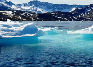 Péninsule Antarctique & Malouines