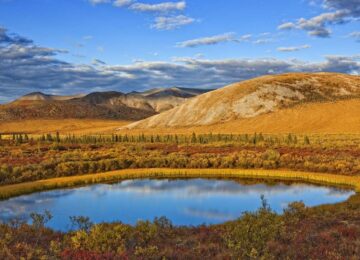 Meilleur du Yukon et de l’Alaska en petit groupe