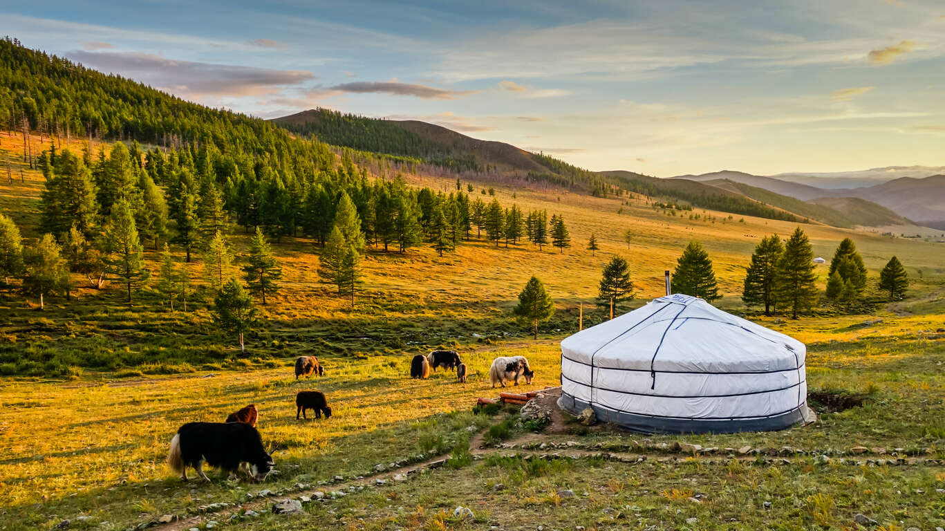 Voyage en Mongolie