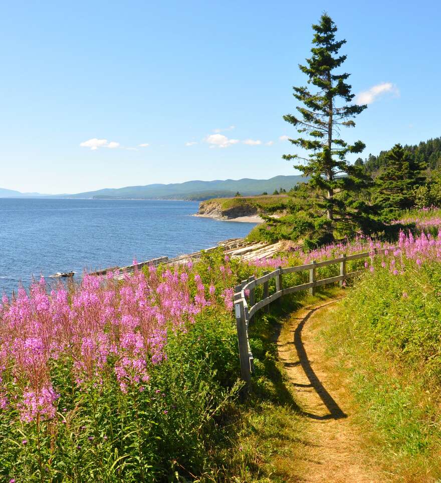 Les meilleures destinations naturelles au Canada