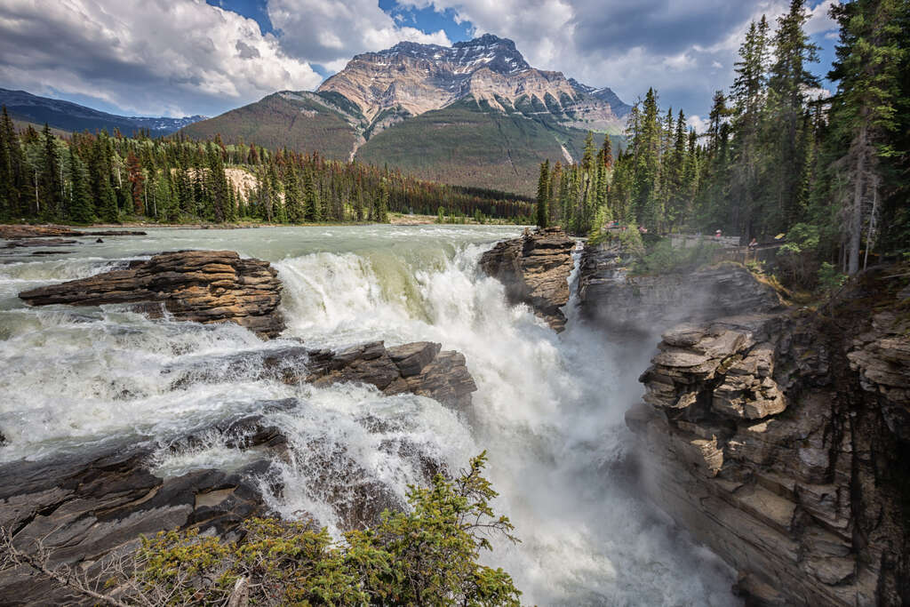 chute canada