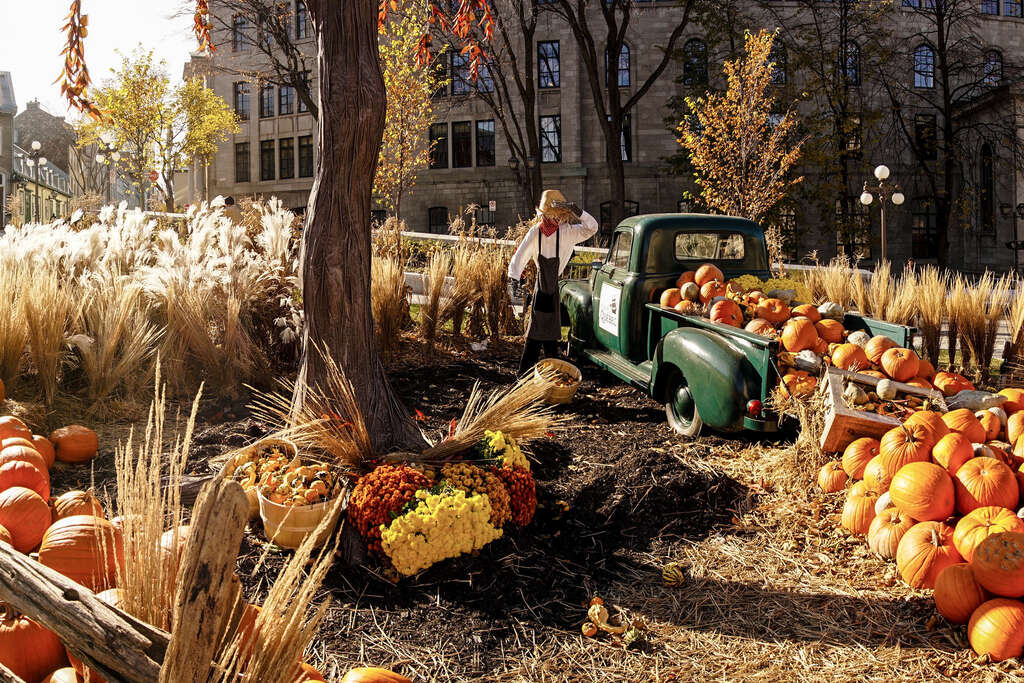 Que faire en automne au Québec ?