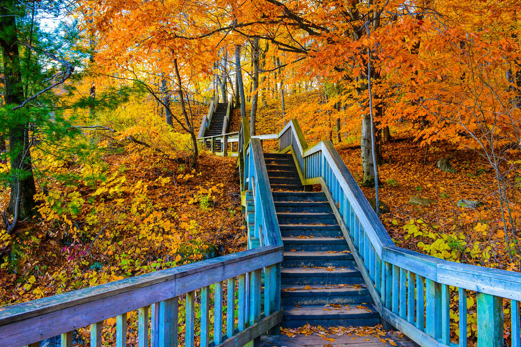 Que faire en automne au Québec ?