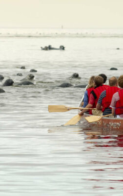 Les meilleures activités à faire lors d’un voyage au Canada