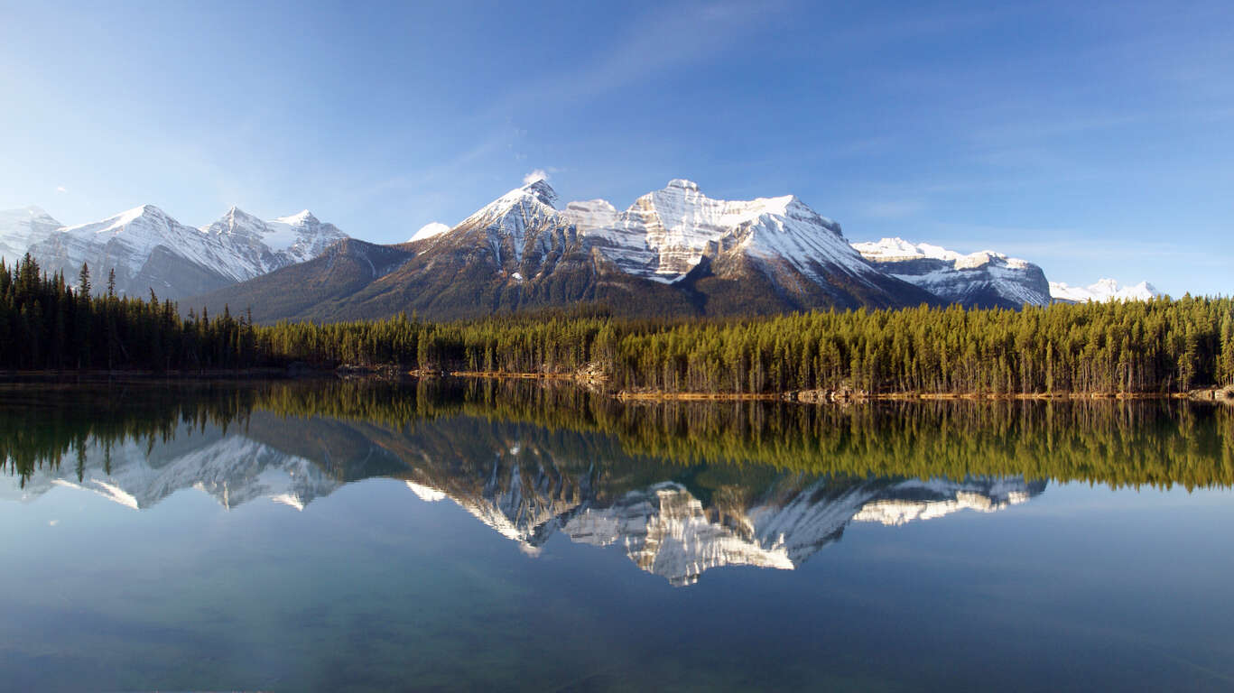 Voyage nature au Canada