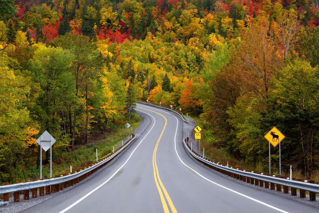 Que faire en automne au Québec ?