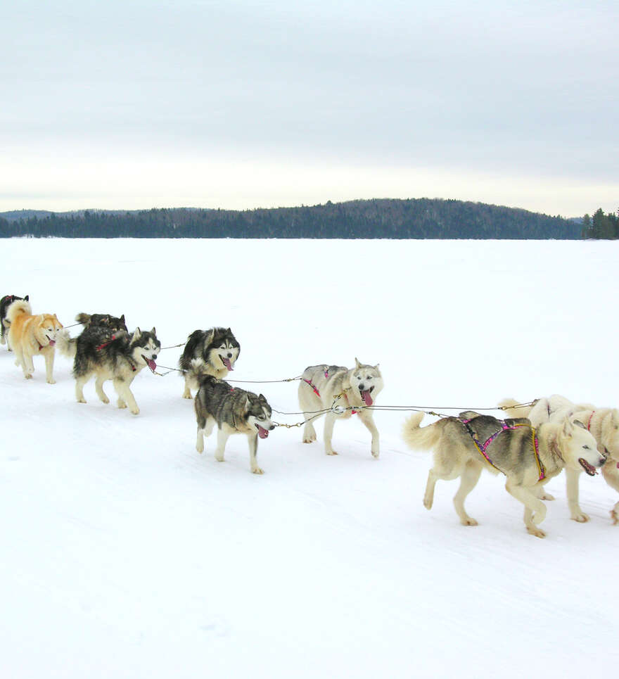 Meilleures activités à faire au Lac Sacacomie