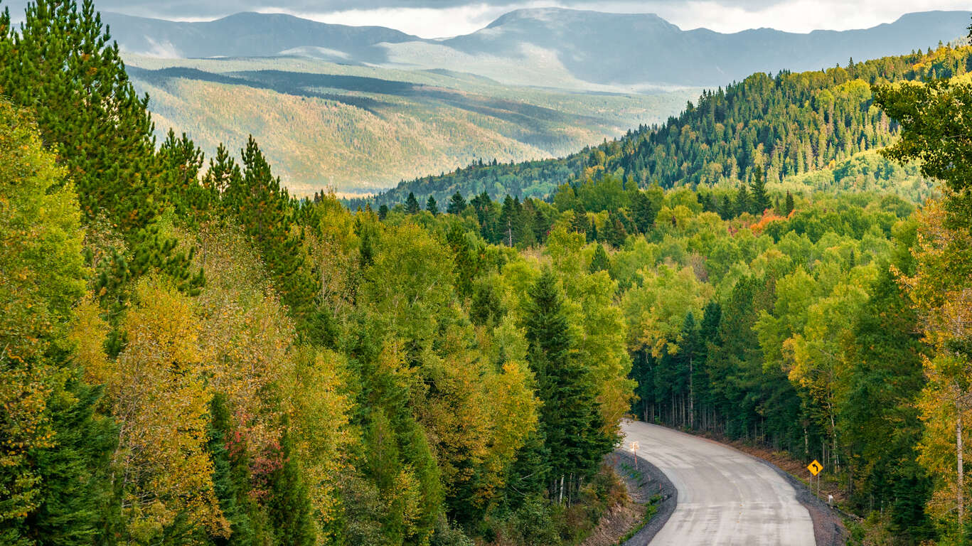 Road Trip en Gaspésie