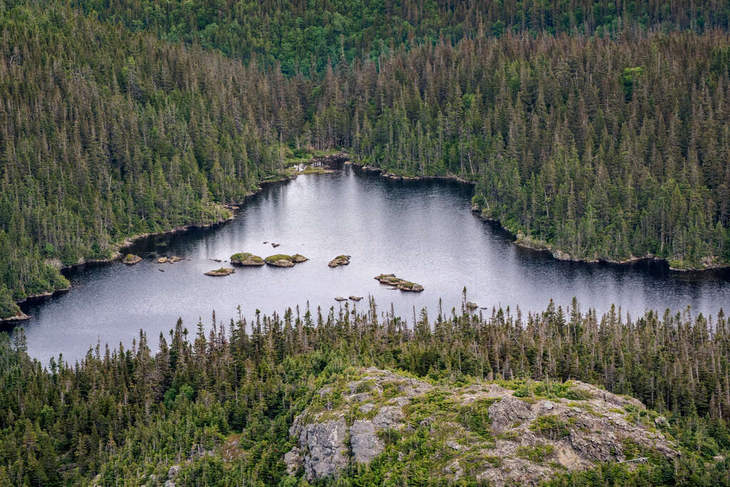 Que faire en Gaspésie ? 