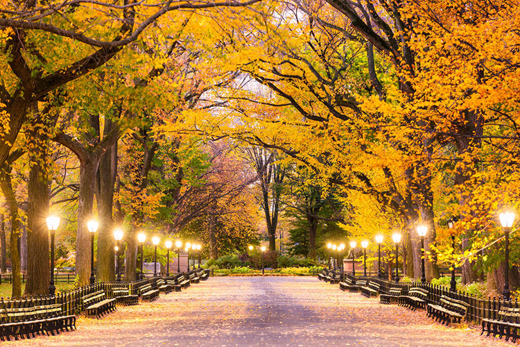 central park new york