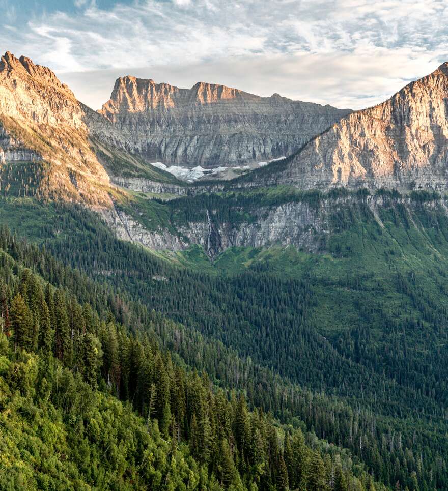 Biodiversité et écologie