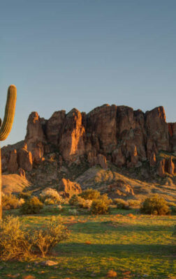 Parc national de Saguaro