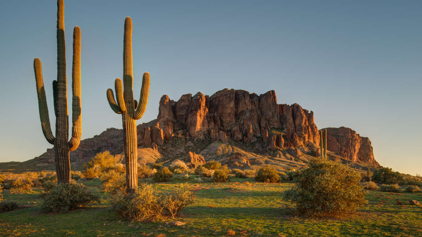 Parc national de Saguaro