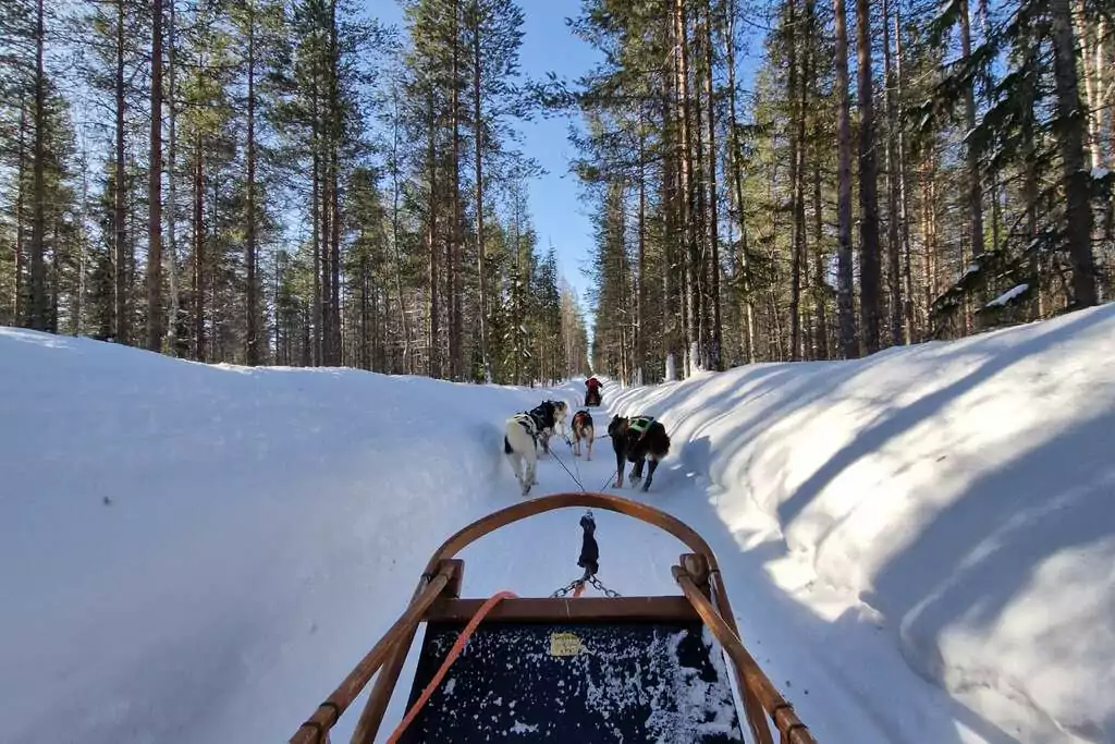 Exploration de la Laponie : de Rovaniemi à Iso-Syöte