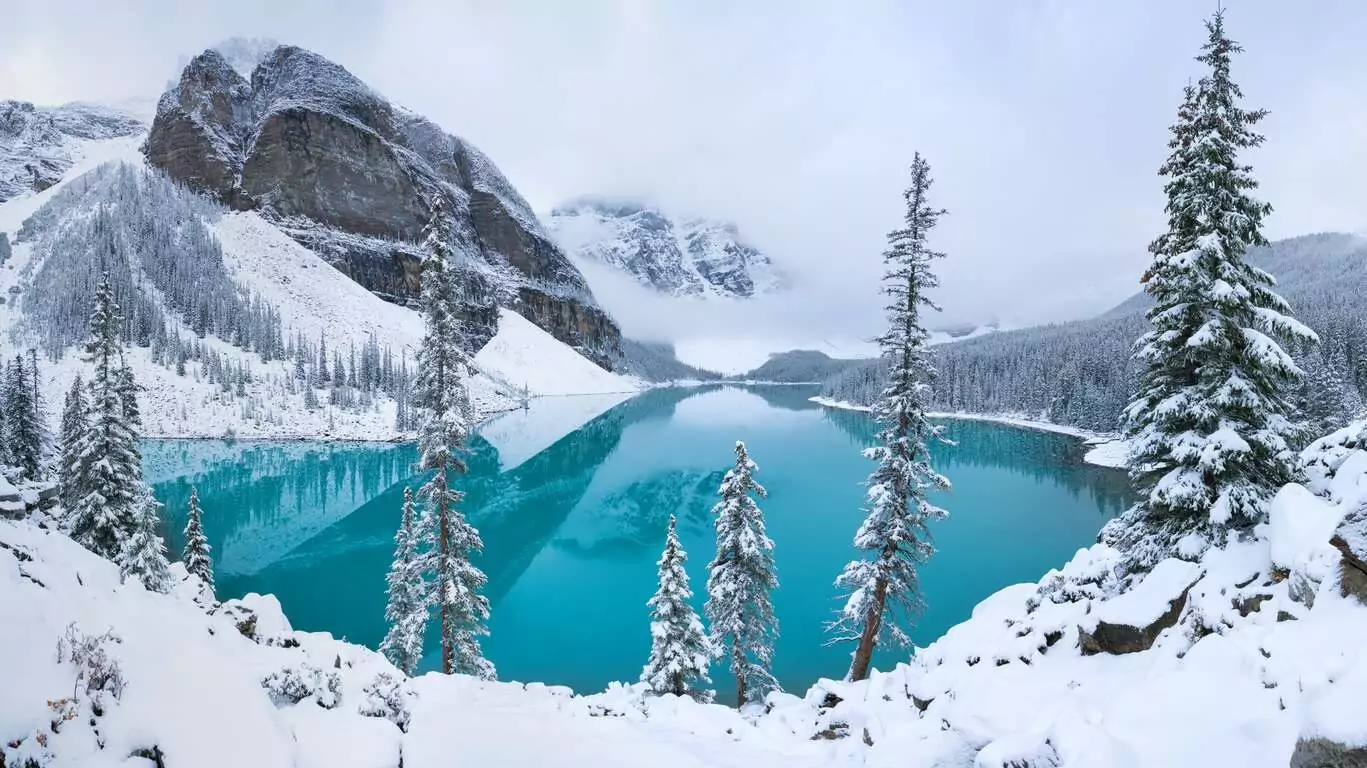 Échappée Hivernale: Aventure Sauvage à Banff et Lake Louise