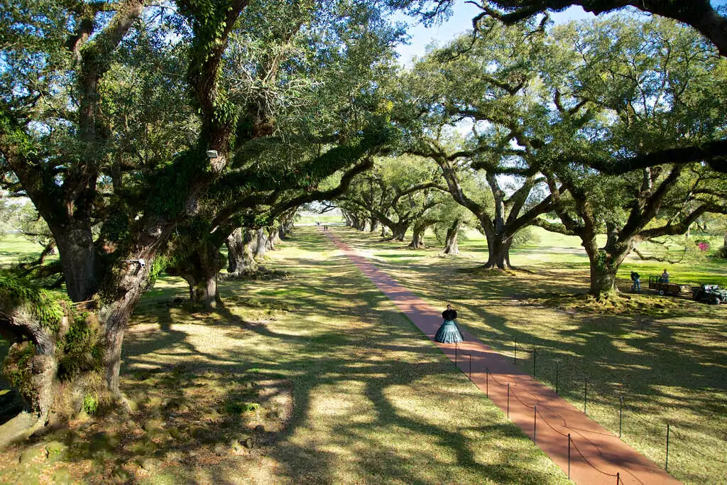 Quand partir en Louisiane ? 