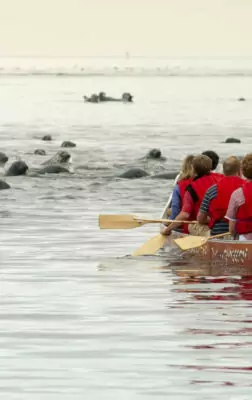 Les meilleures activités à faire lors d’un voyage au Canada