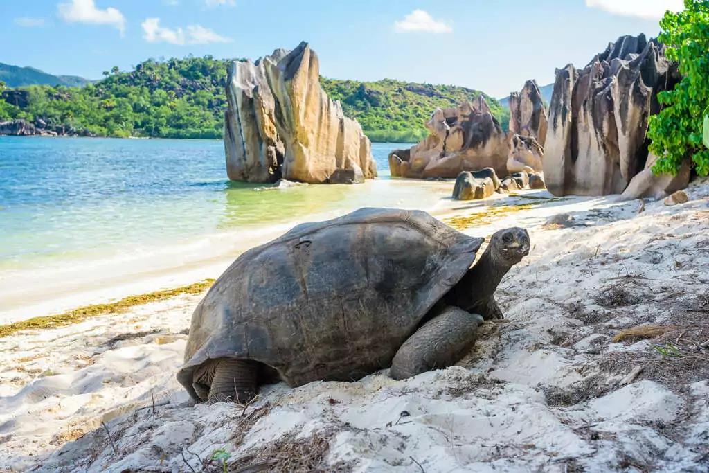 Les îles méconnues