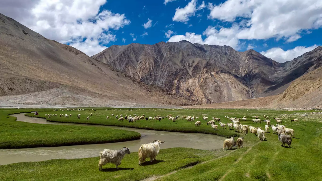 Trekking au « Pays des hauts cols »